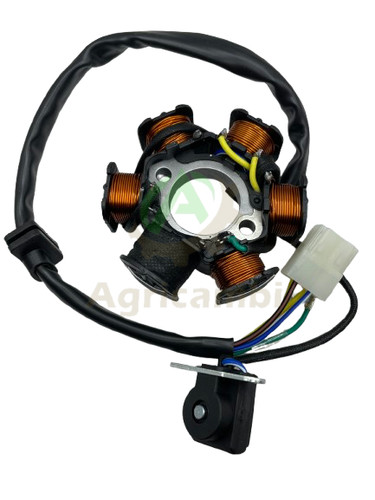 Statore accensione magneto - di,