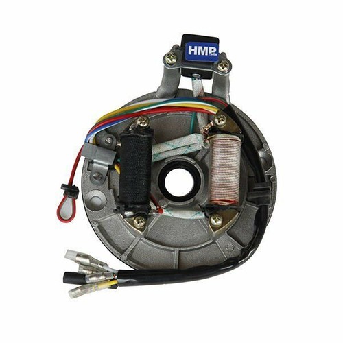 Bobina magneto accensione - magneto, di